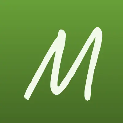 Мир инструмента, сеть магазинов, лого-визитка