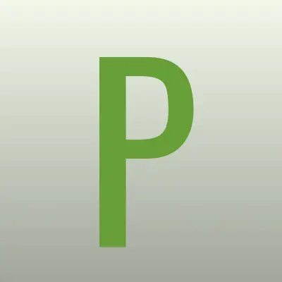 Профессионал